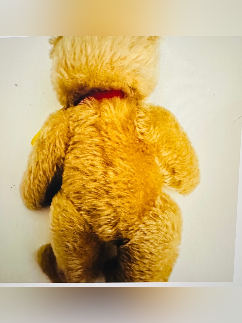 Steiff Original Jointed Teddy Bear 0201/26 Austria Signed By Otto Hans Steiff - Picture 3 of 15